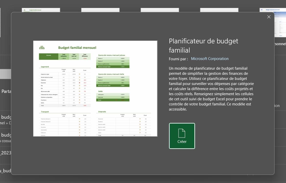 Excel budget